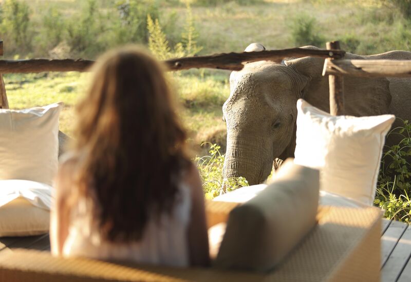package - Best of the Luangwa returns!